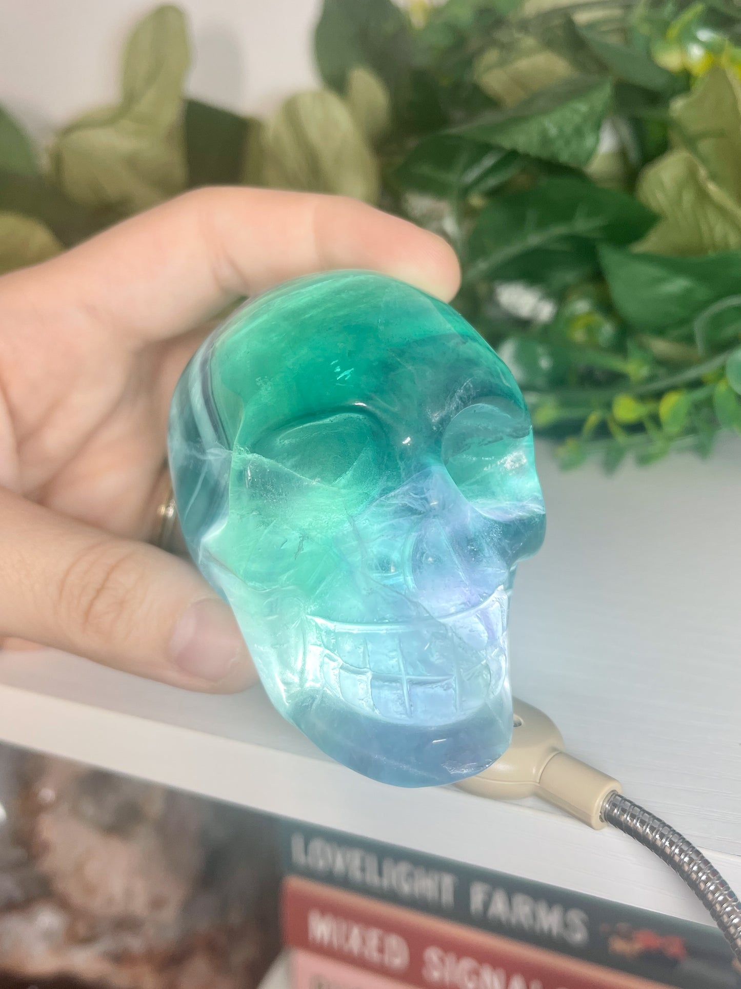 fluorite skull (1)