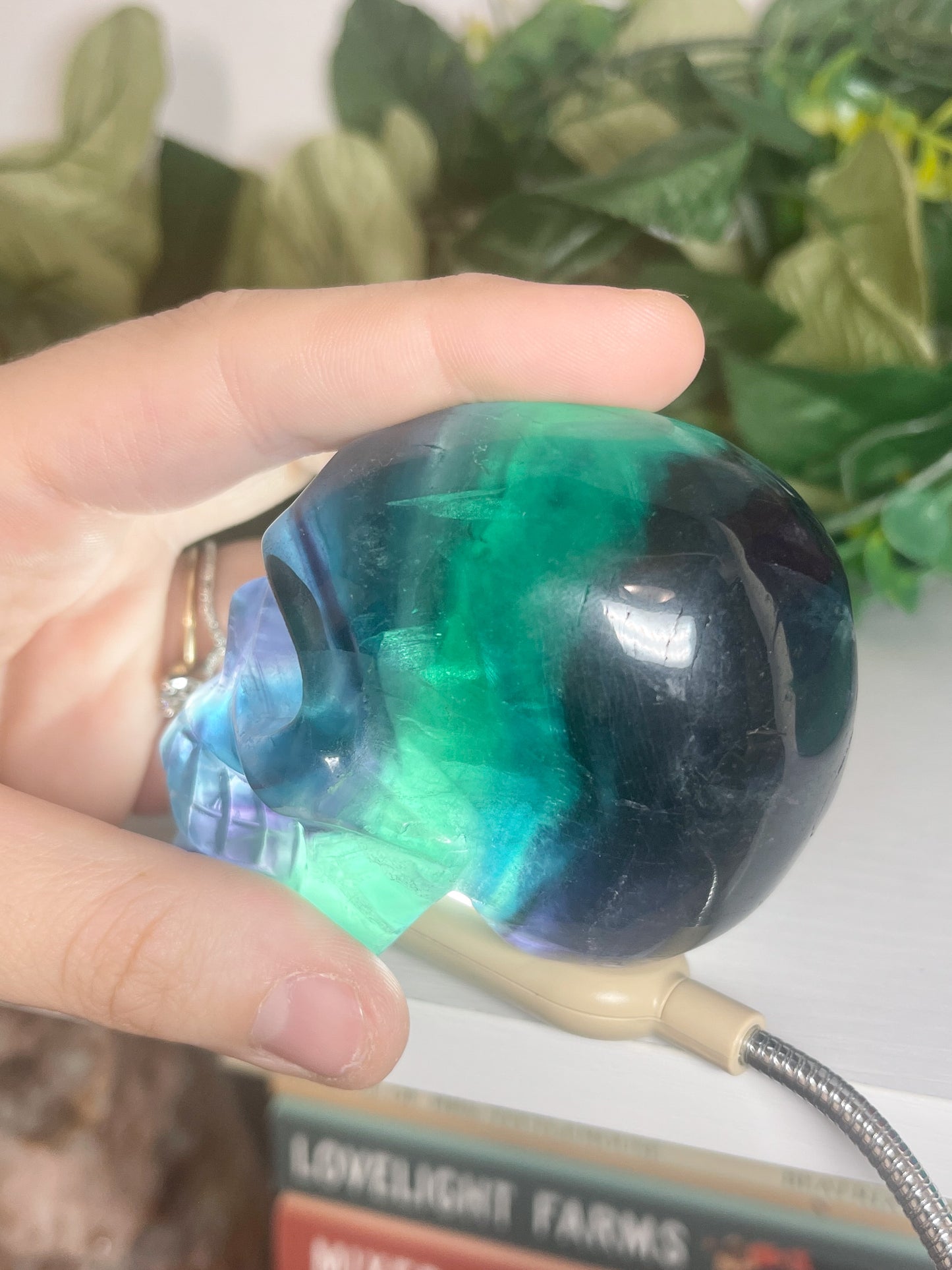 fluorite skull (3)