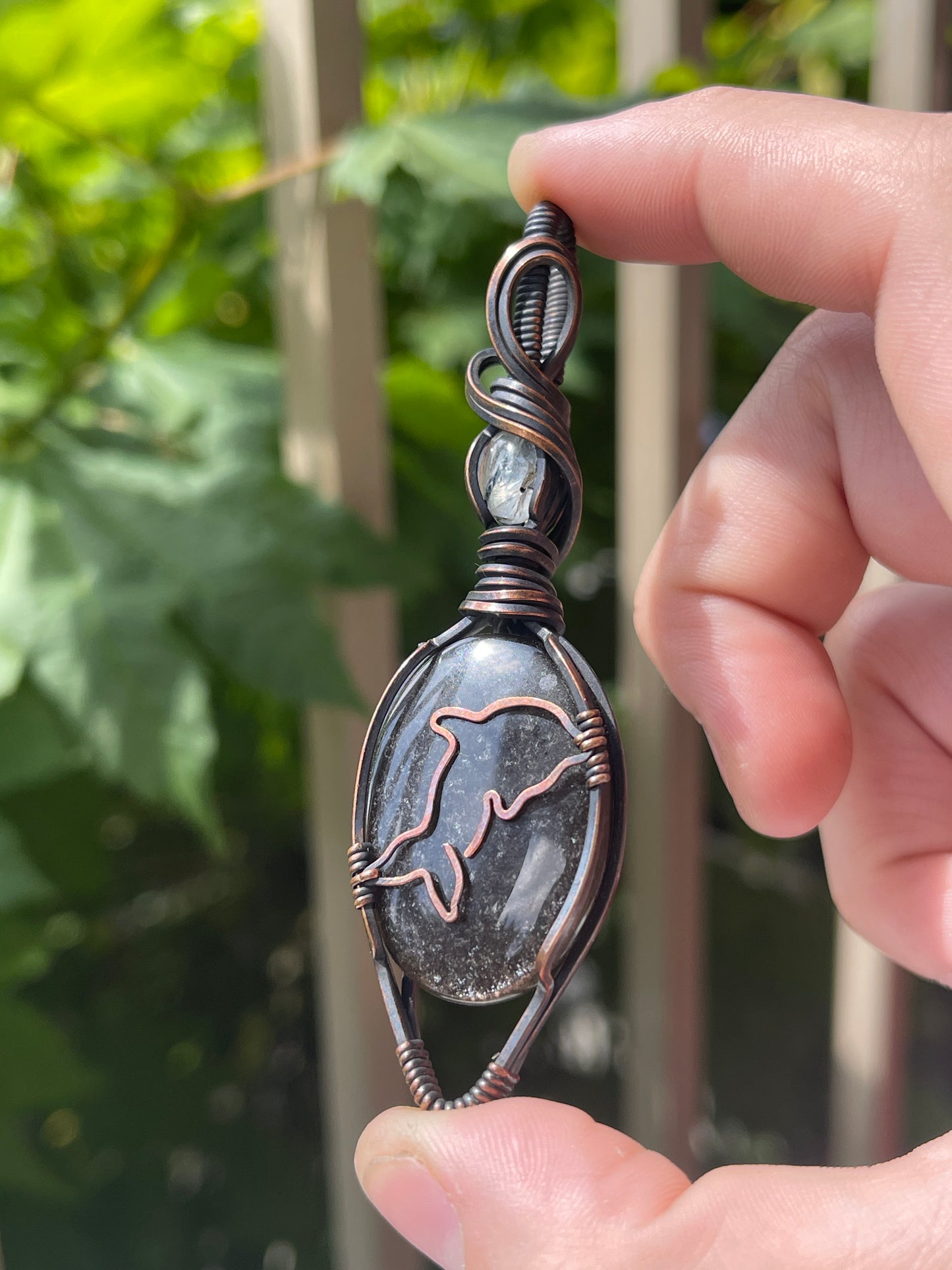 dolphin - sea life collection