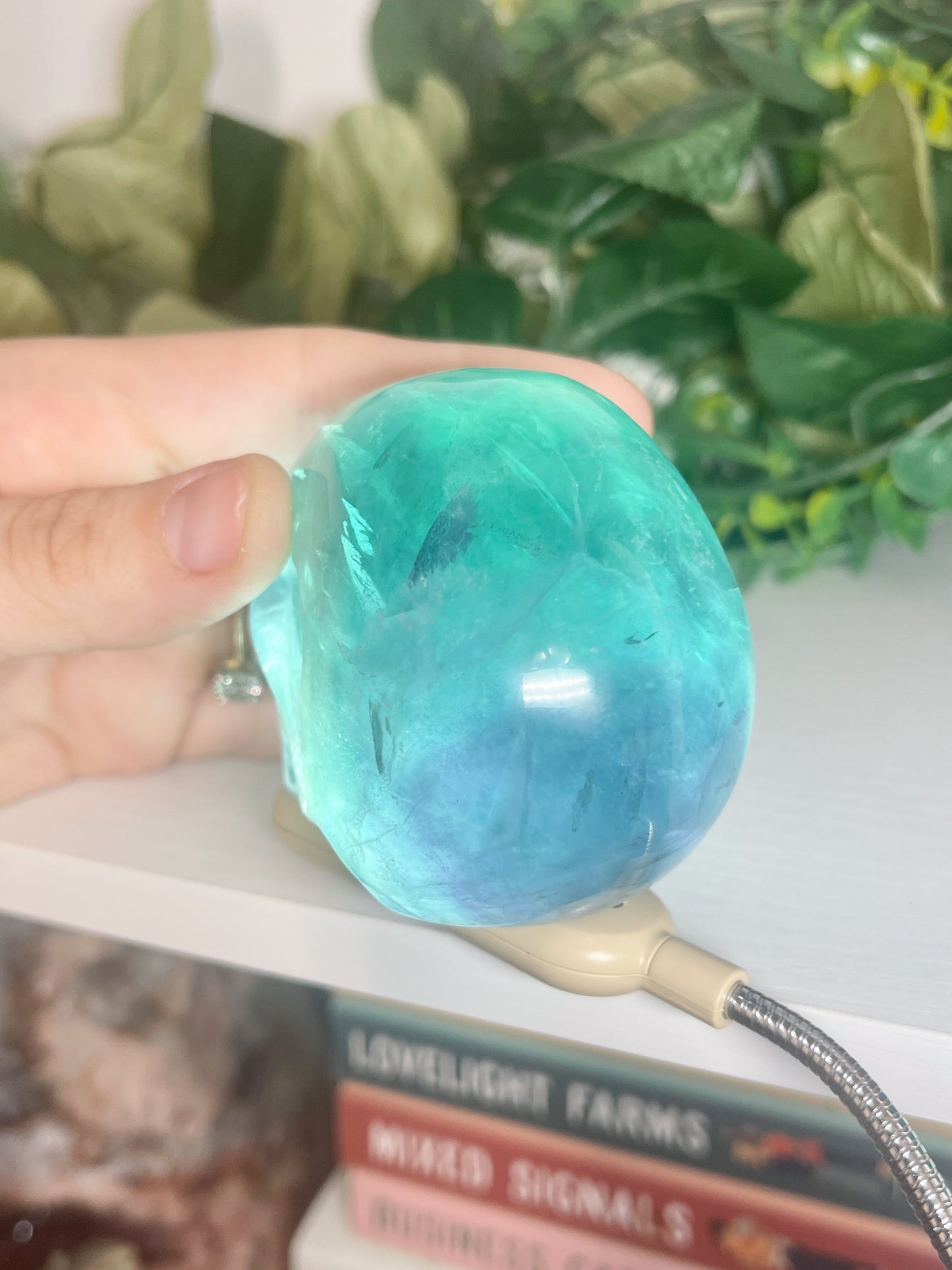 fluorite skull (2)