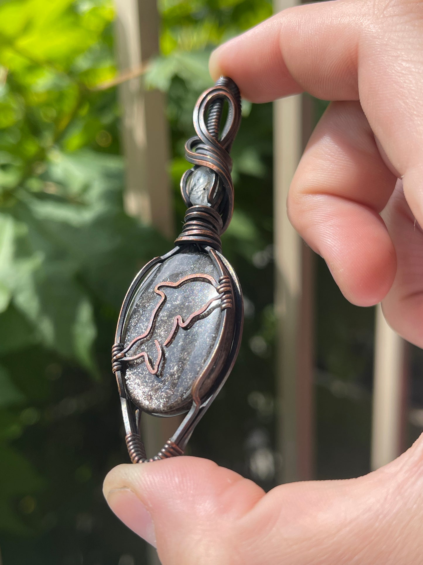 dolphin - sea life collection