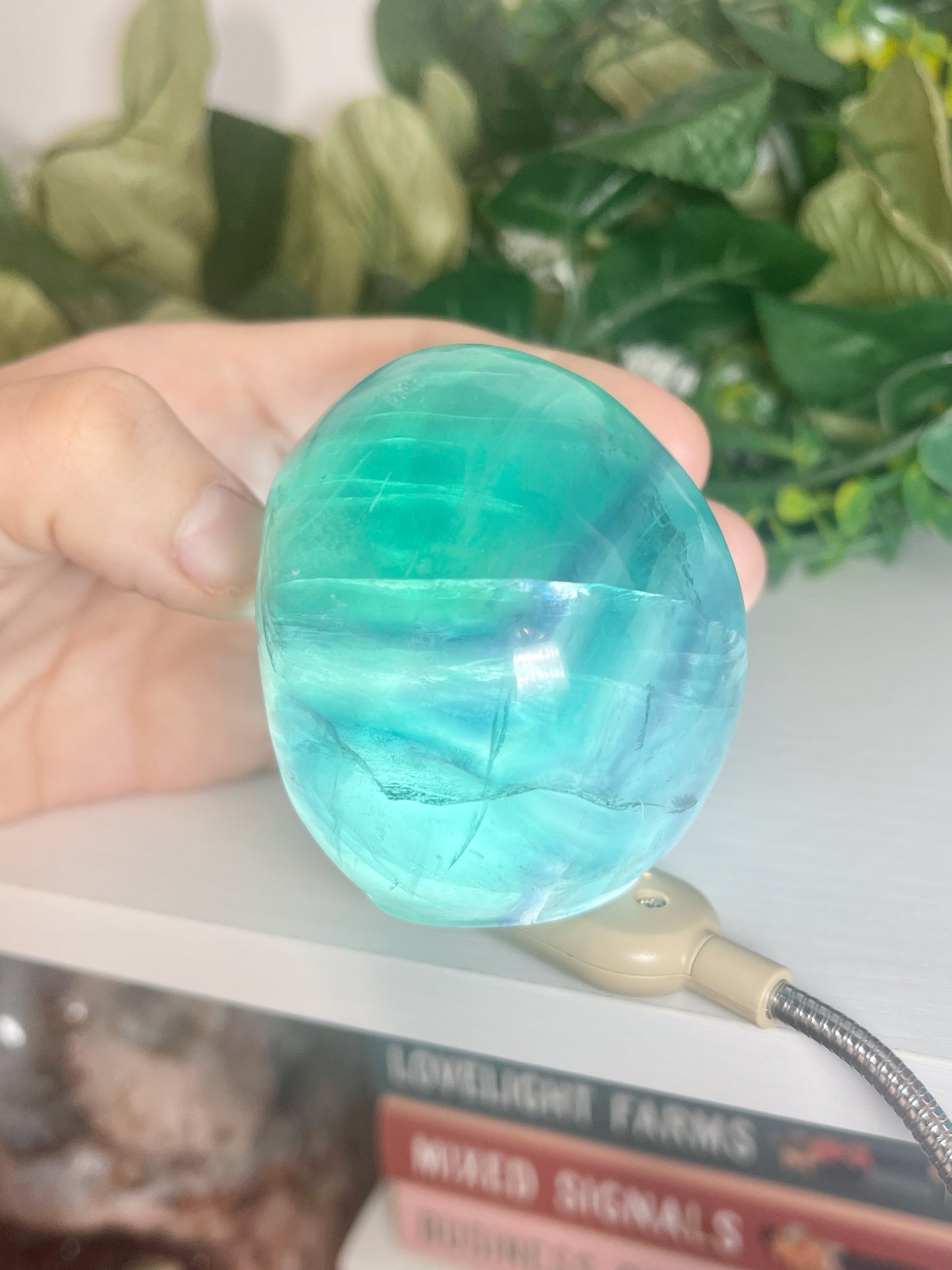 fluorite skull (1)
