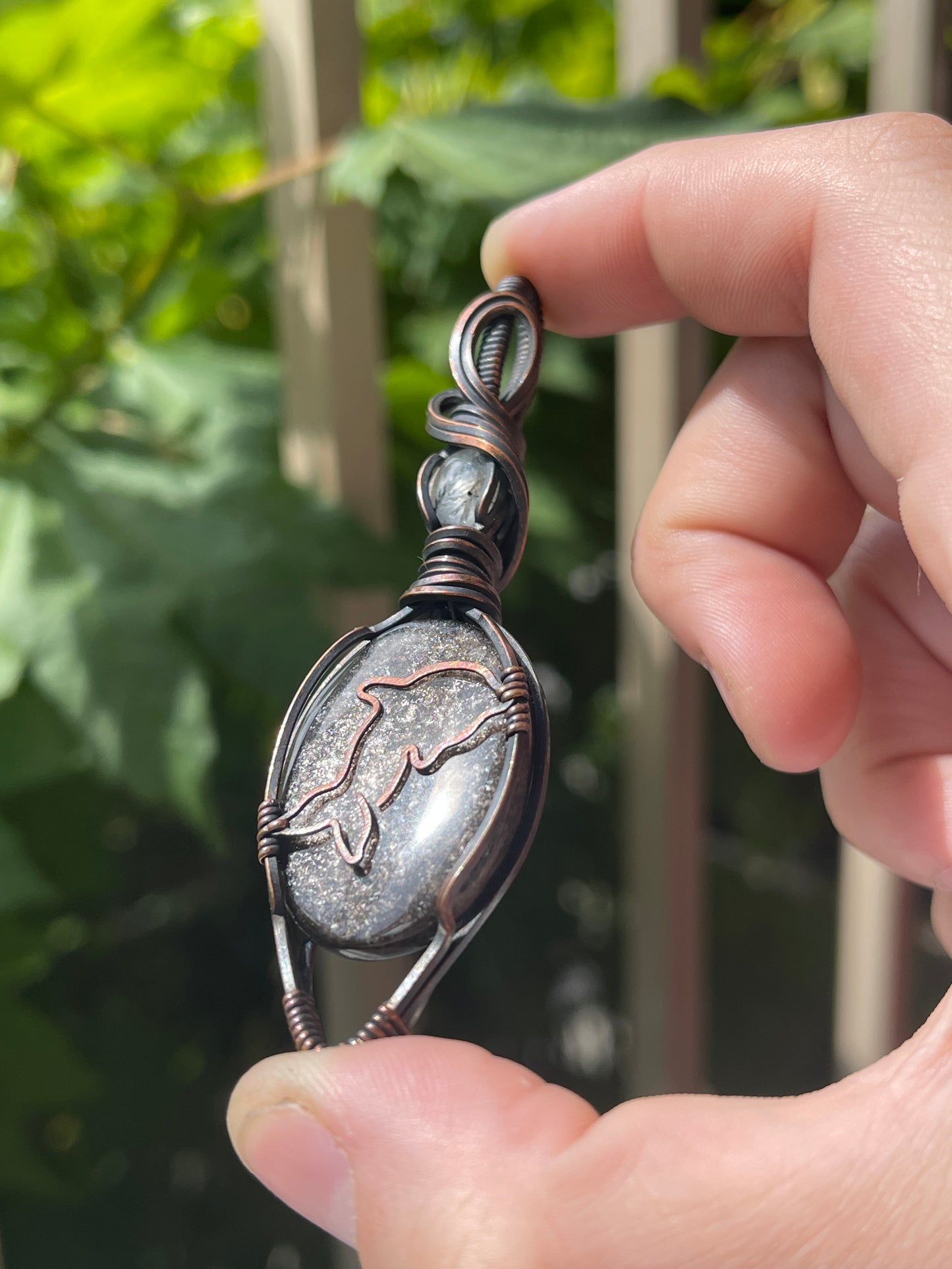 dolphin - sea life collection