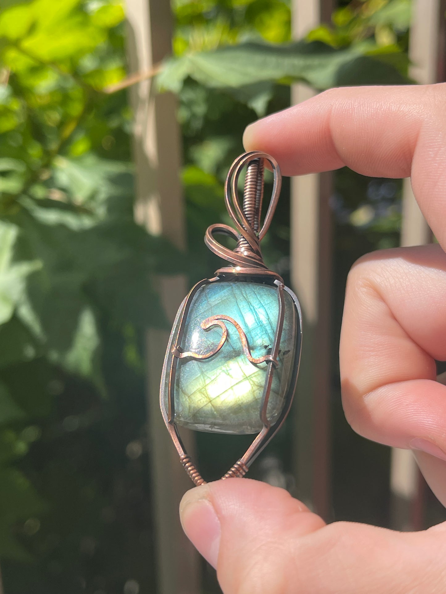 wave (1) - sea life collection