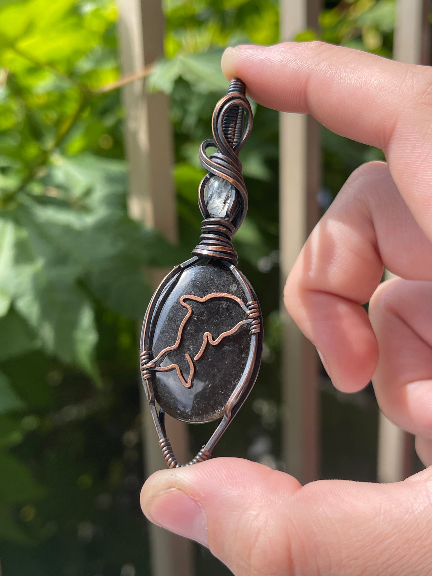 dolphin - sea life collection