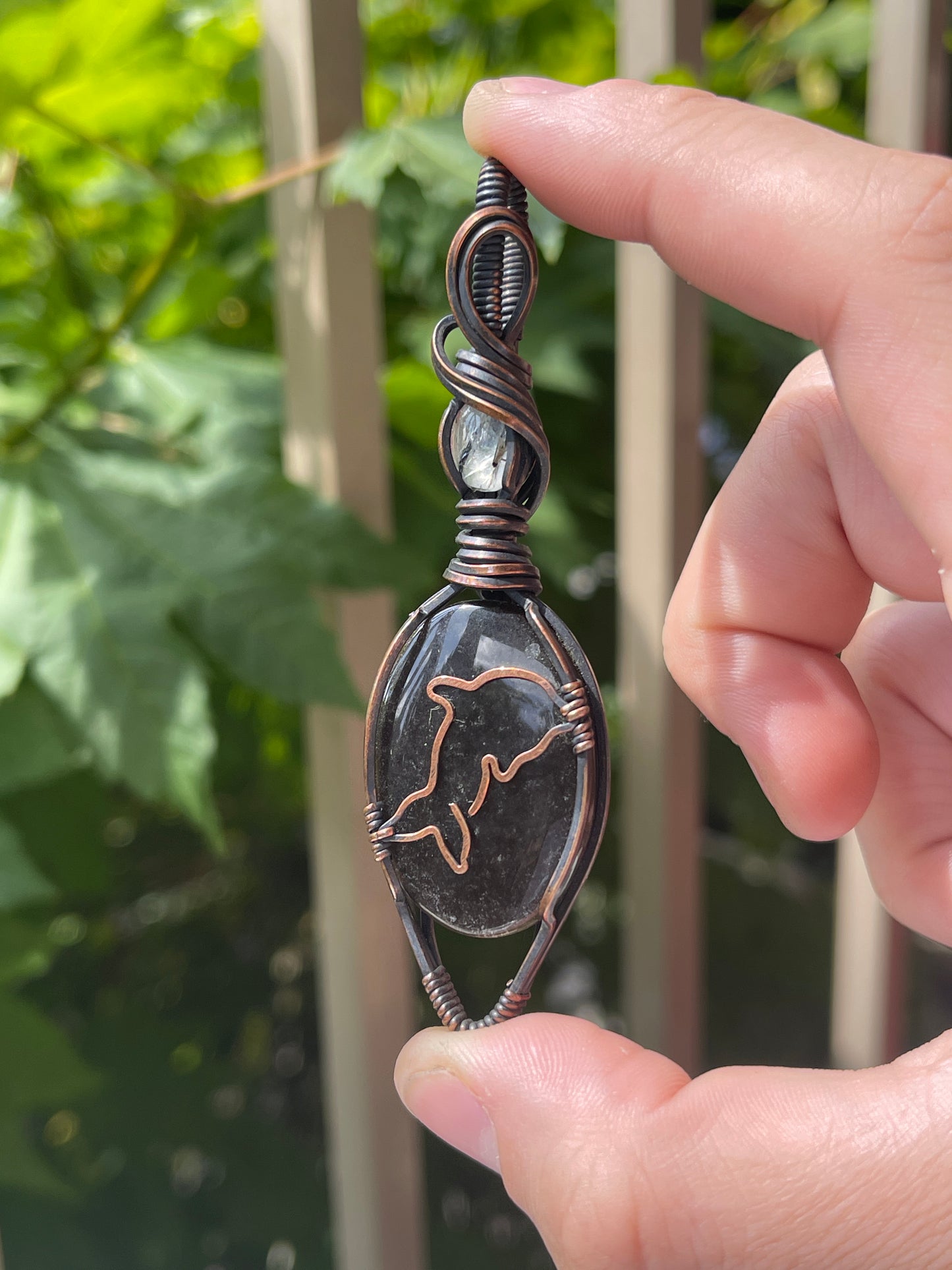 dolphin - sea life collection