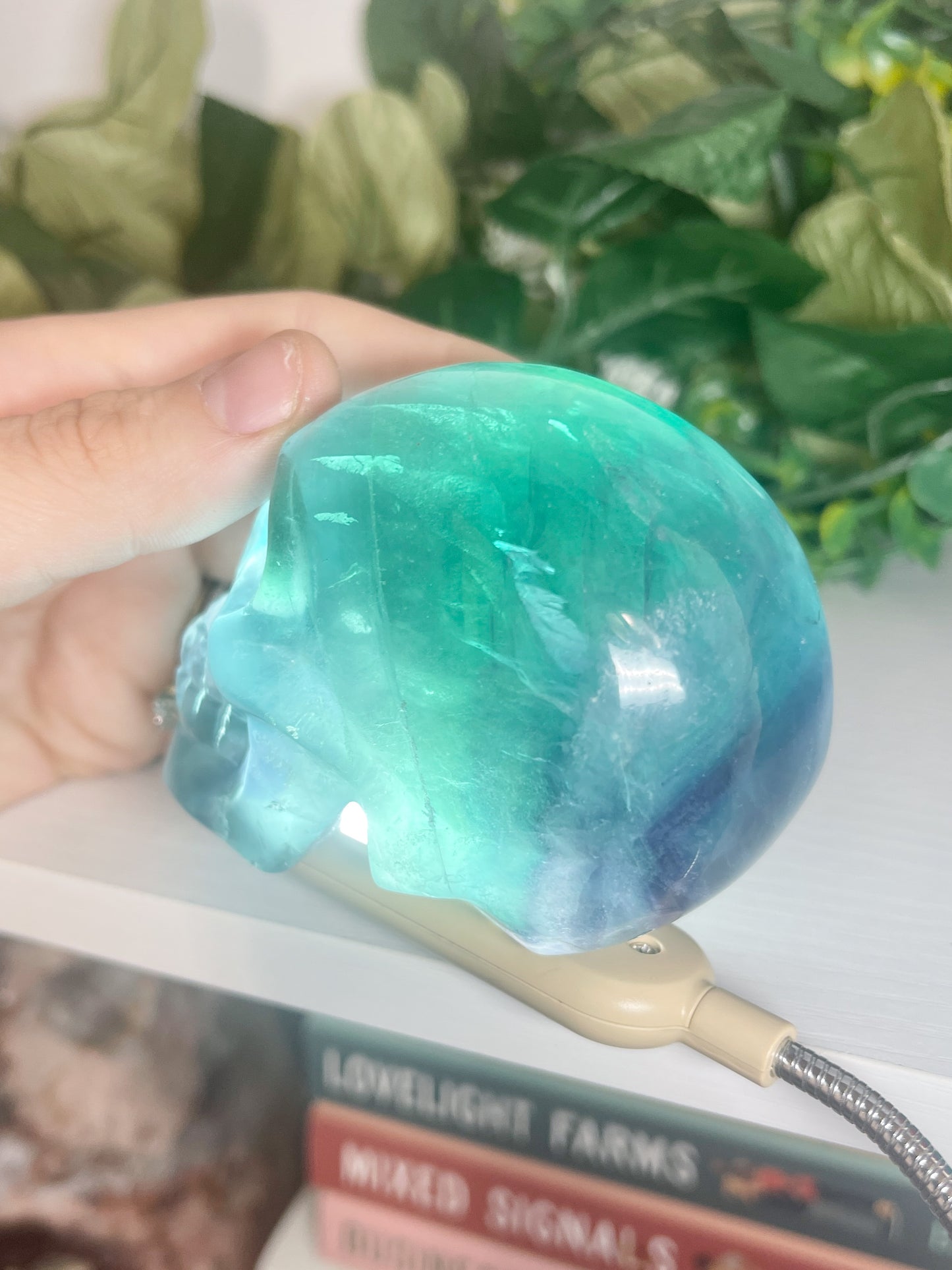 fluorite skull (2)