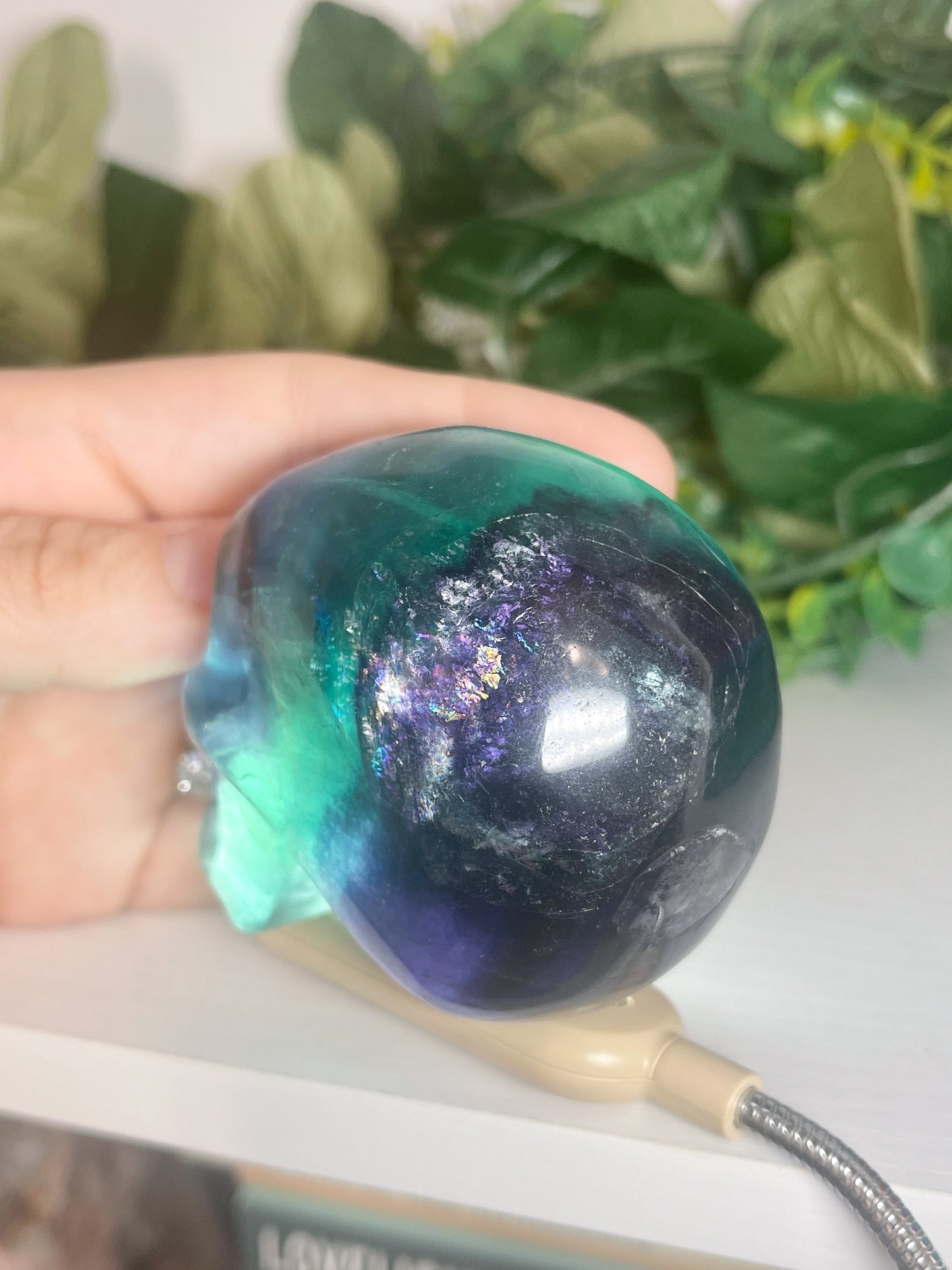 fluorite skull (3)