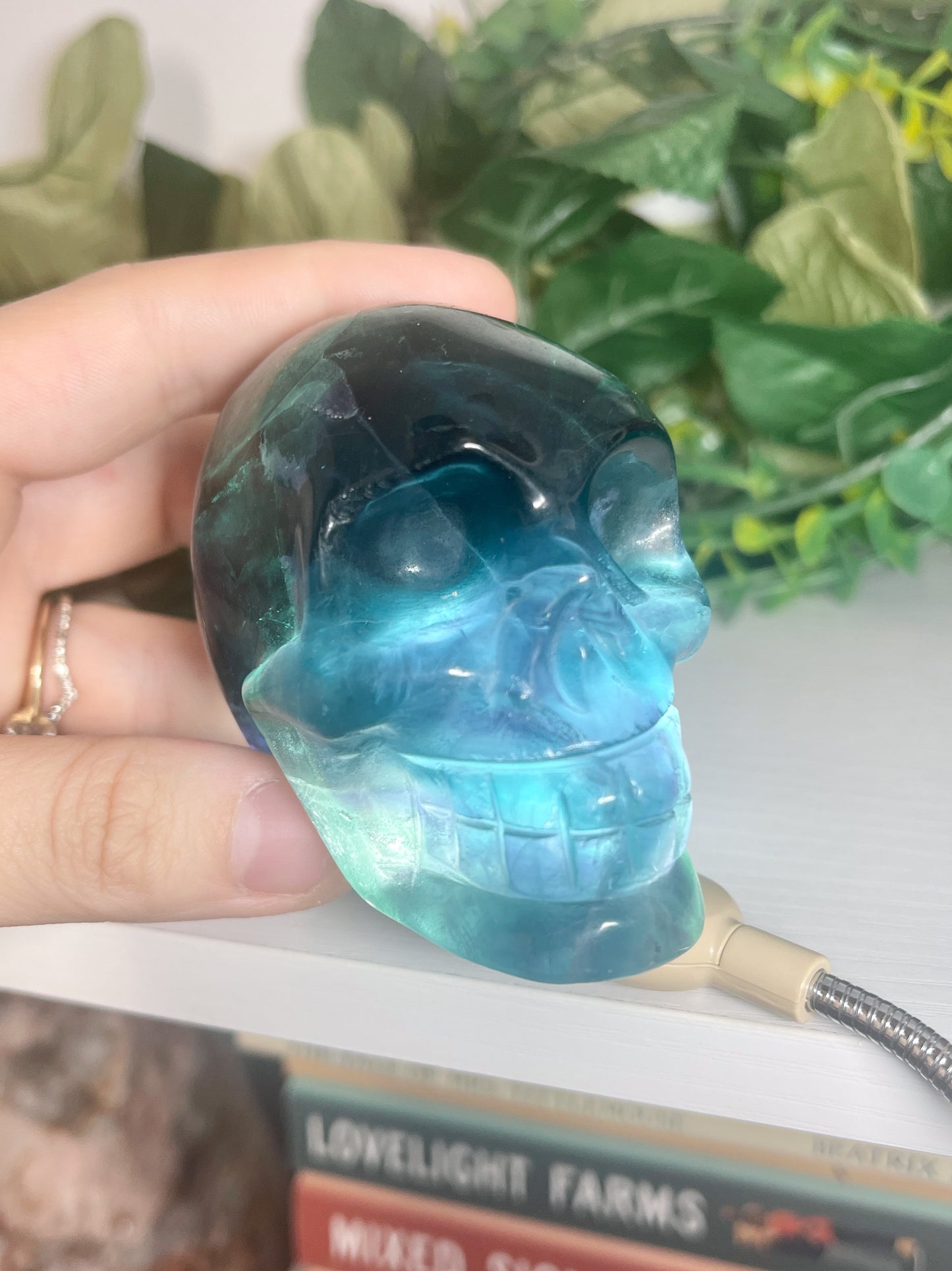 fluorite skull (3)