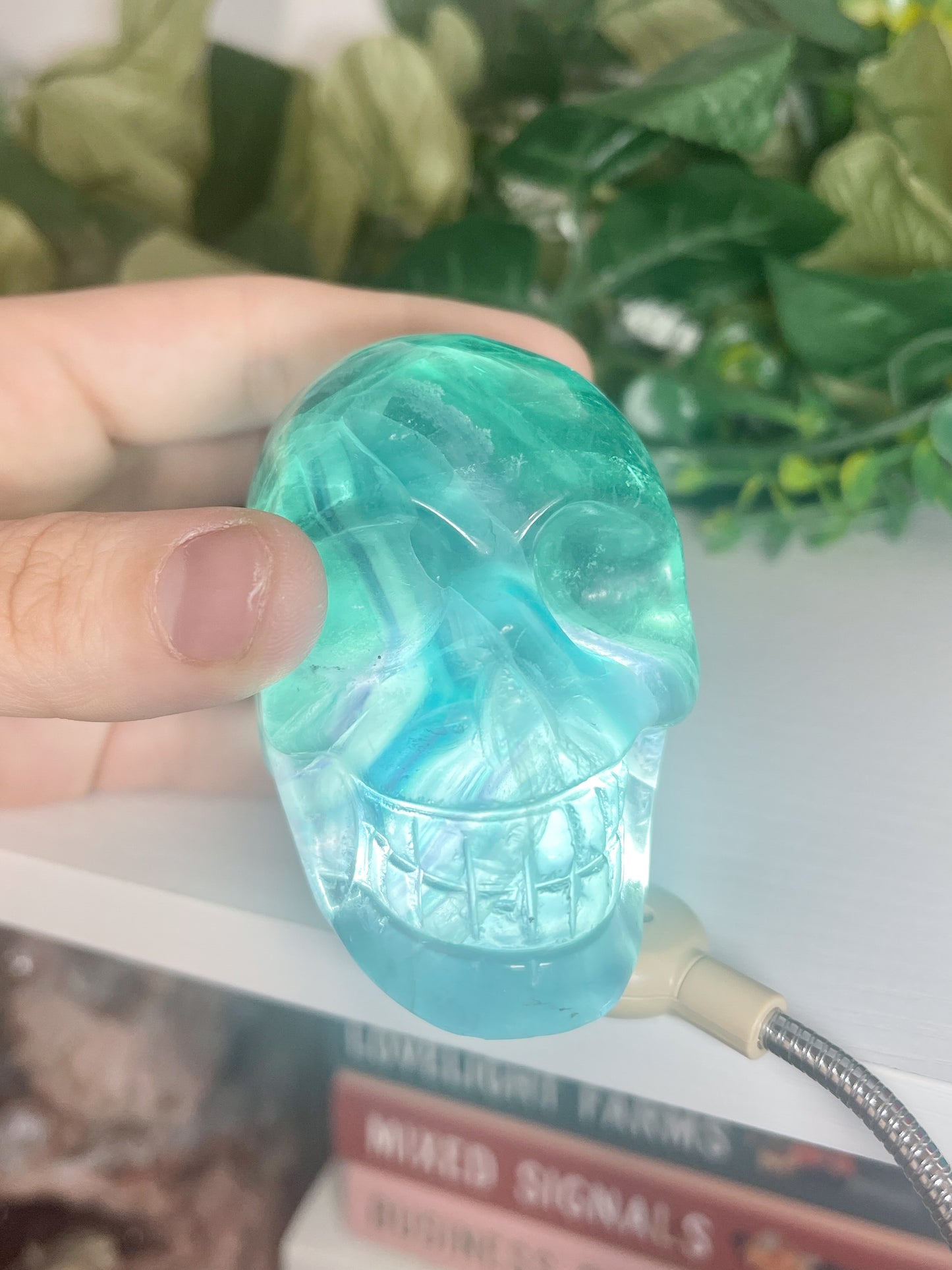 fluorite skull (2)