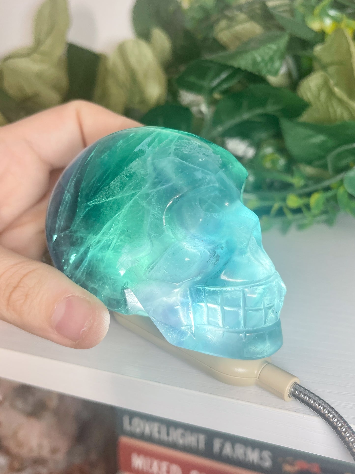 fluorite skull (2)