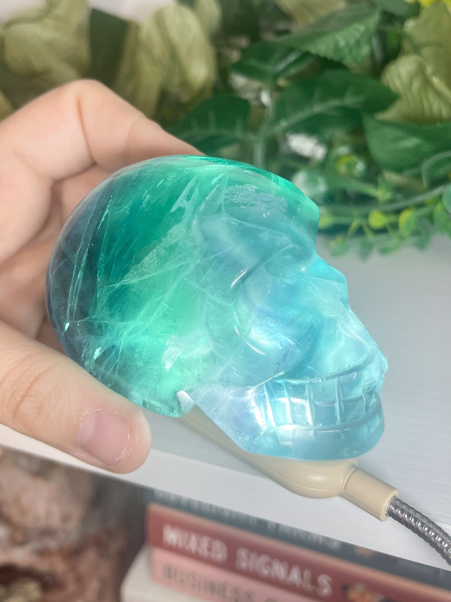 fluorite skull (2)