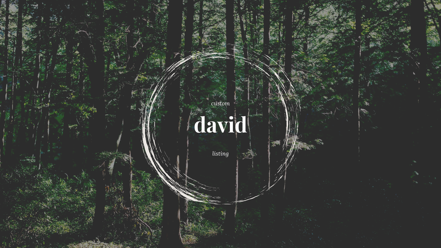 custom listing for david