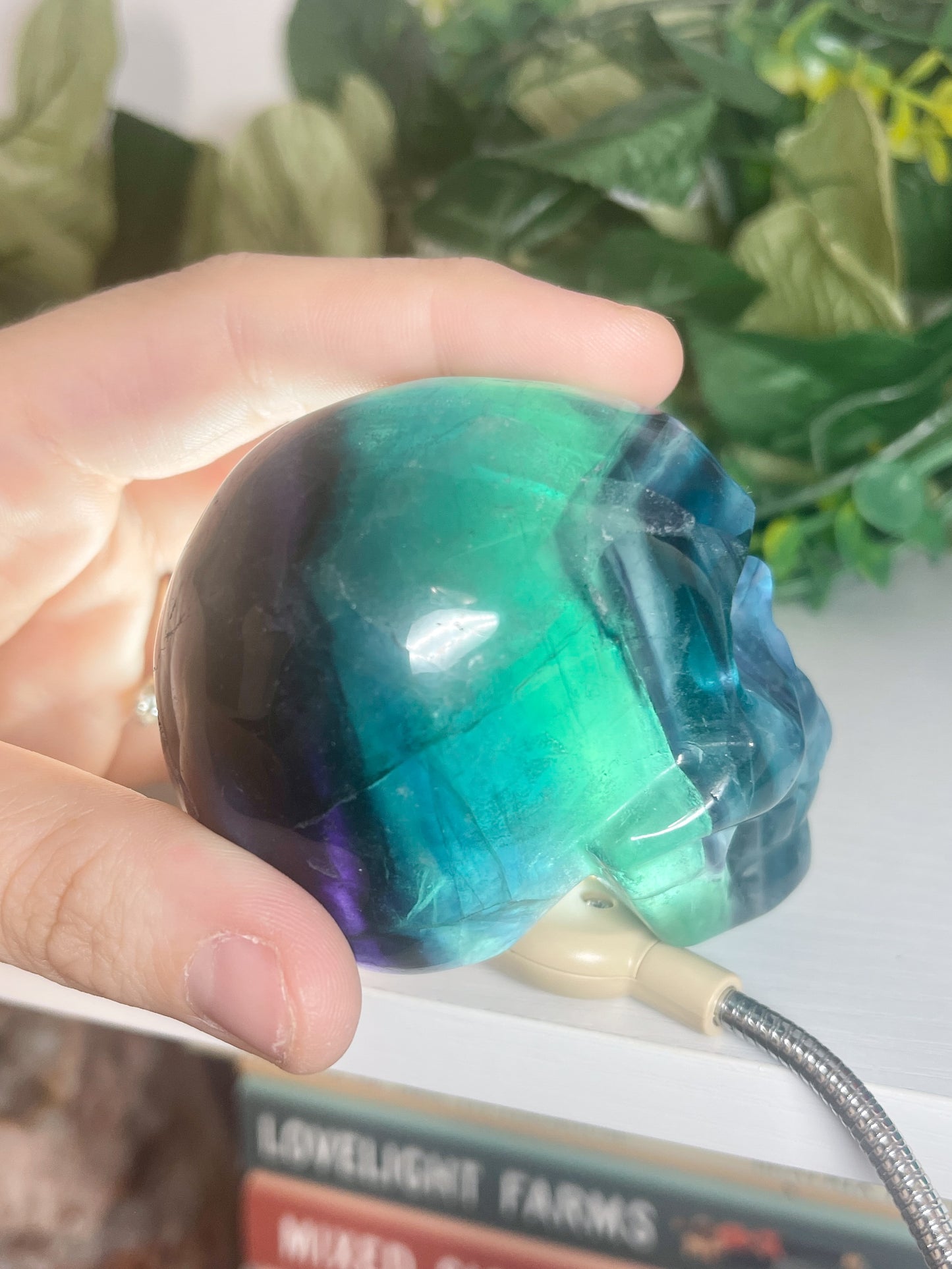 fluorite skull (3)