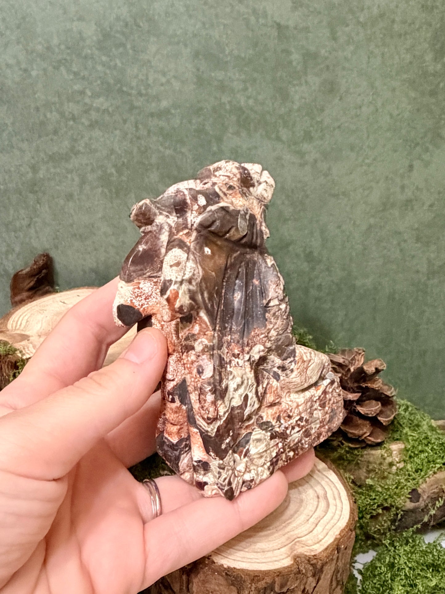 mexico agate dragon