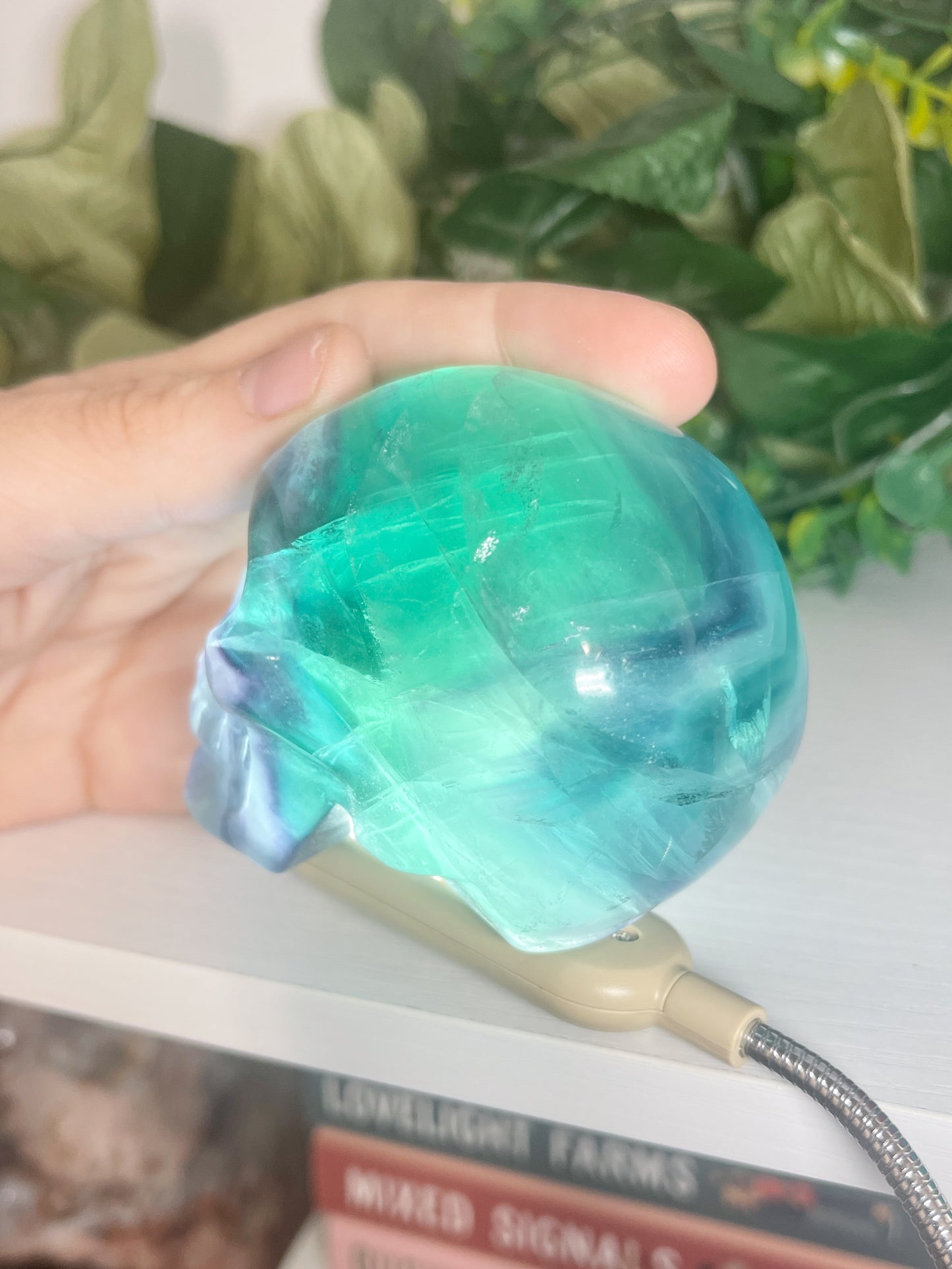 fluorite skull (1)