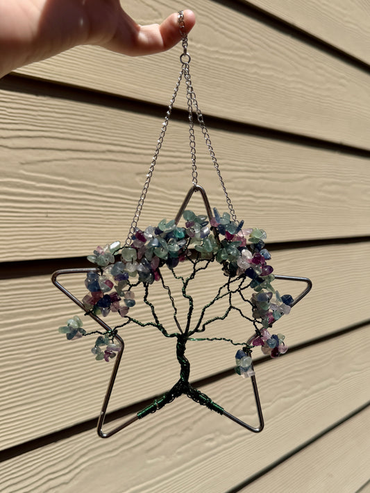 fluorite tree star