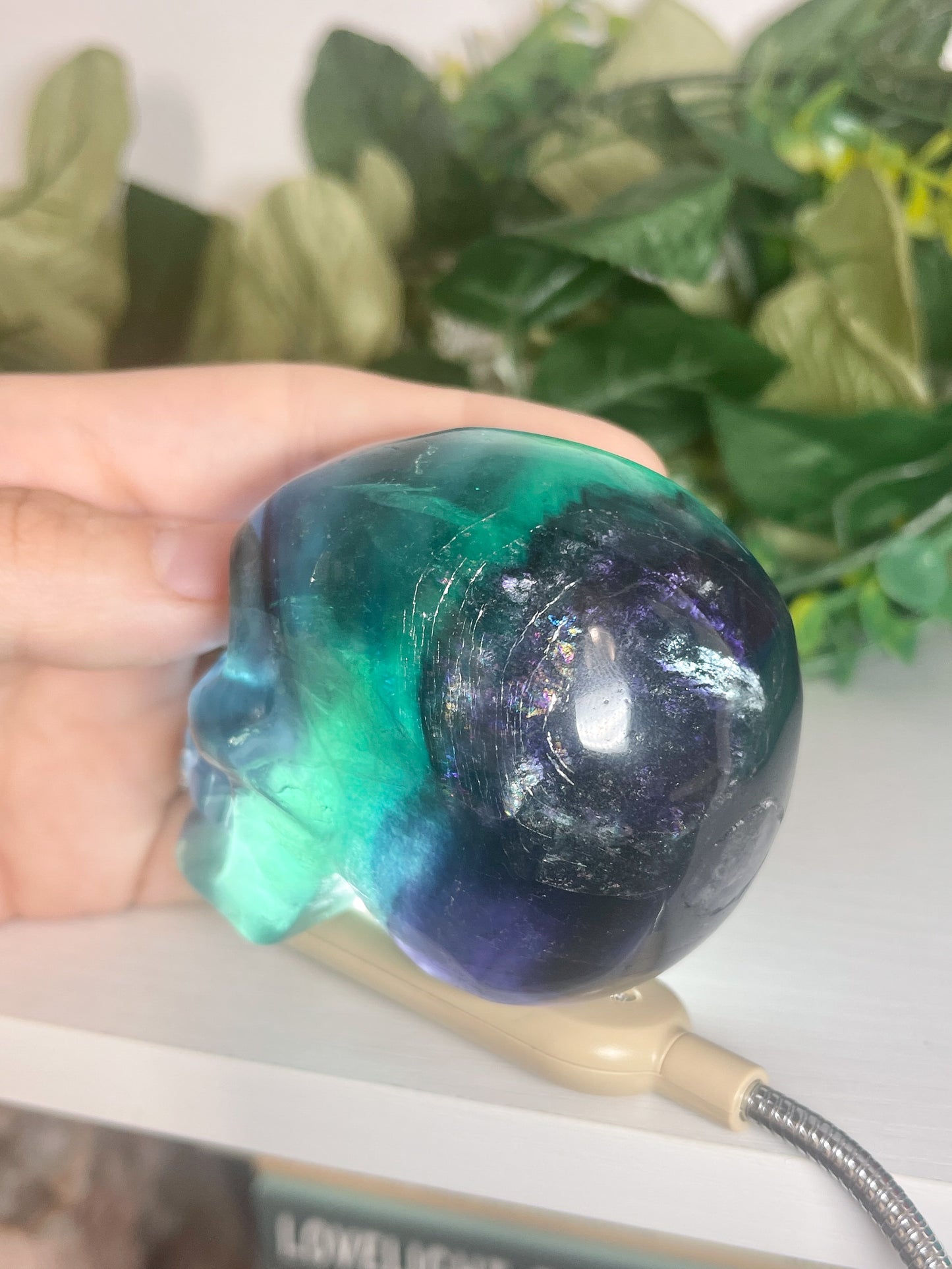 fluorite skull (3)