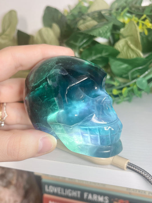fluorite skull (3)