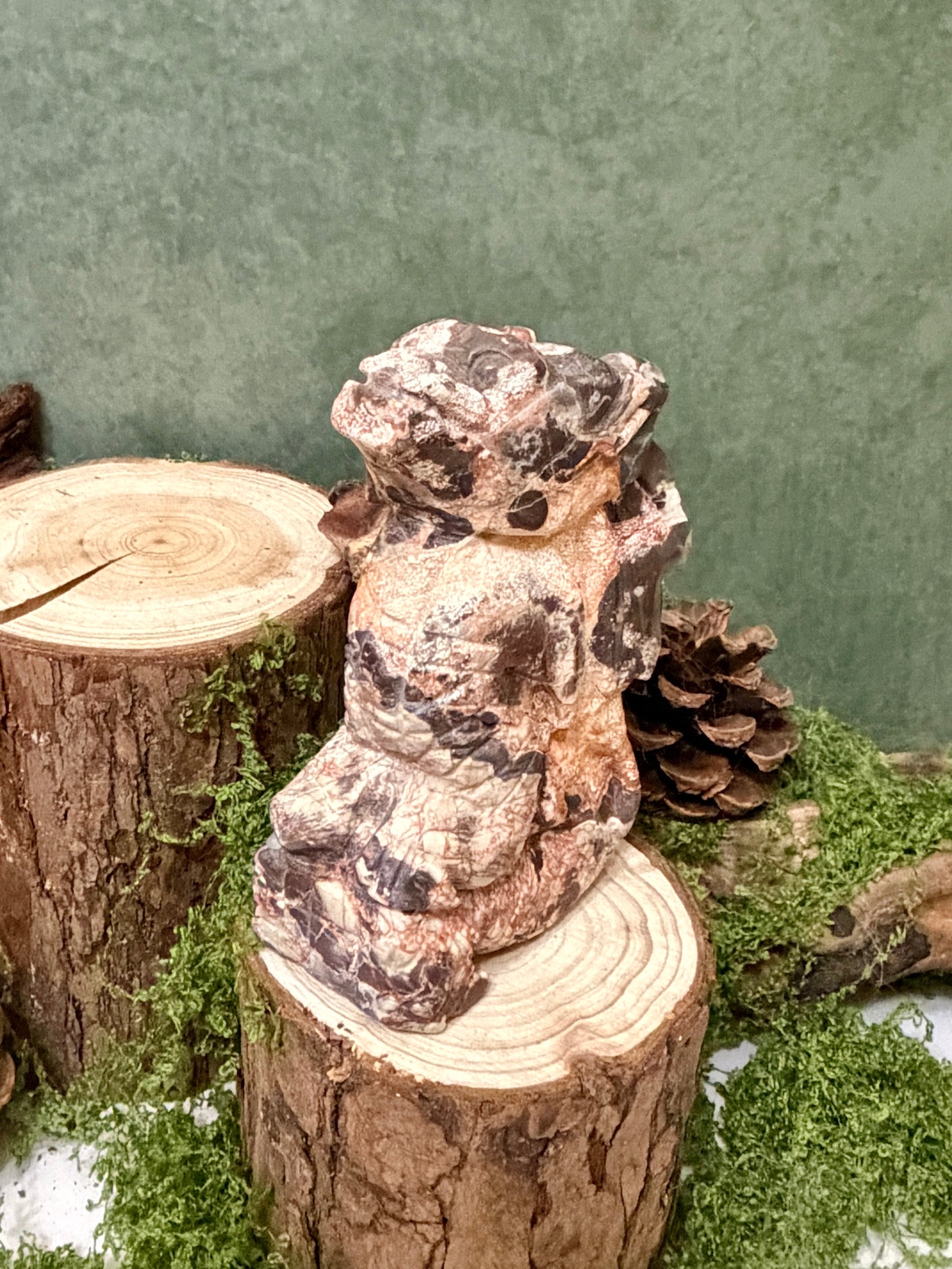 mexico agate dragon