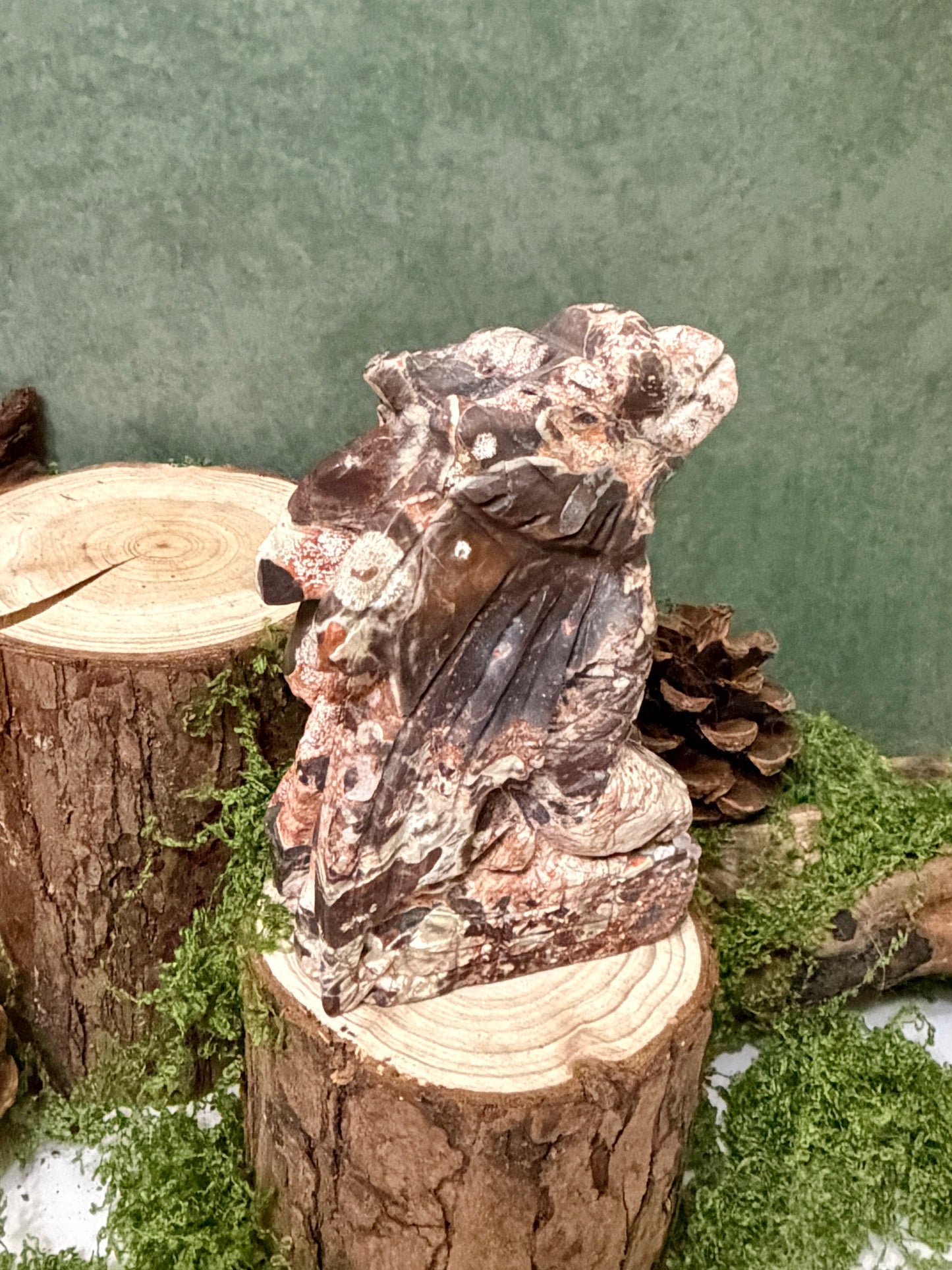mexico agate dragon