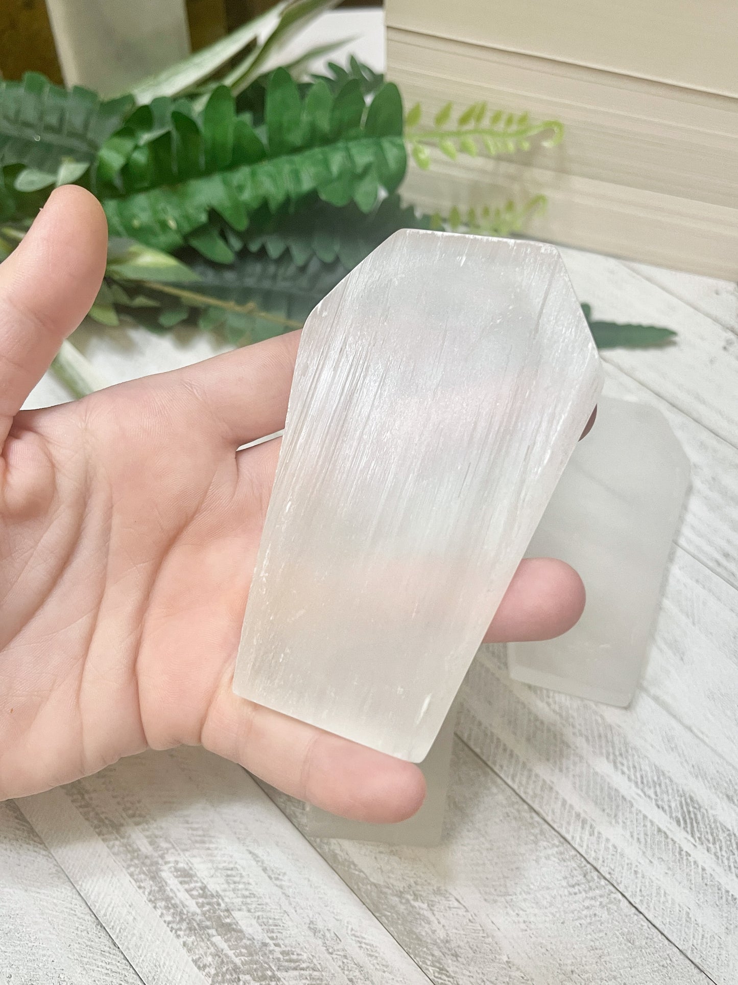 selenite coffin dishes