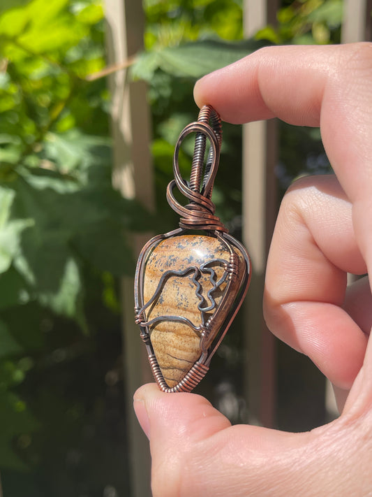 conch shell - sea life collection