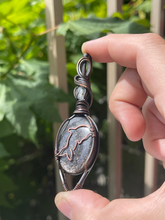 dolphin - sea life collection