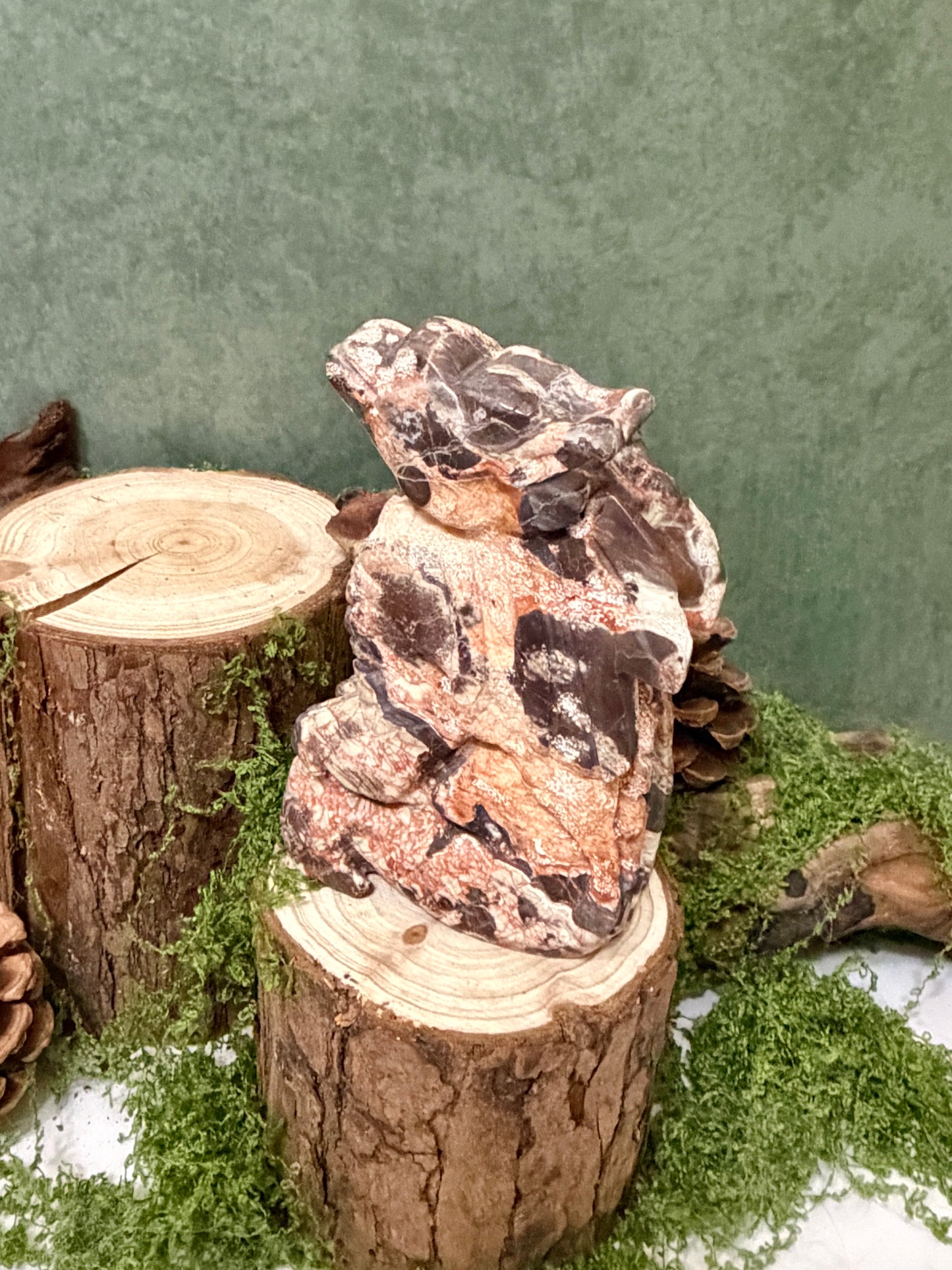 mexico agate dragon