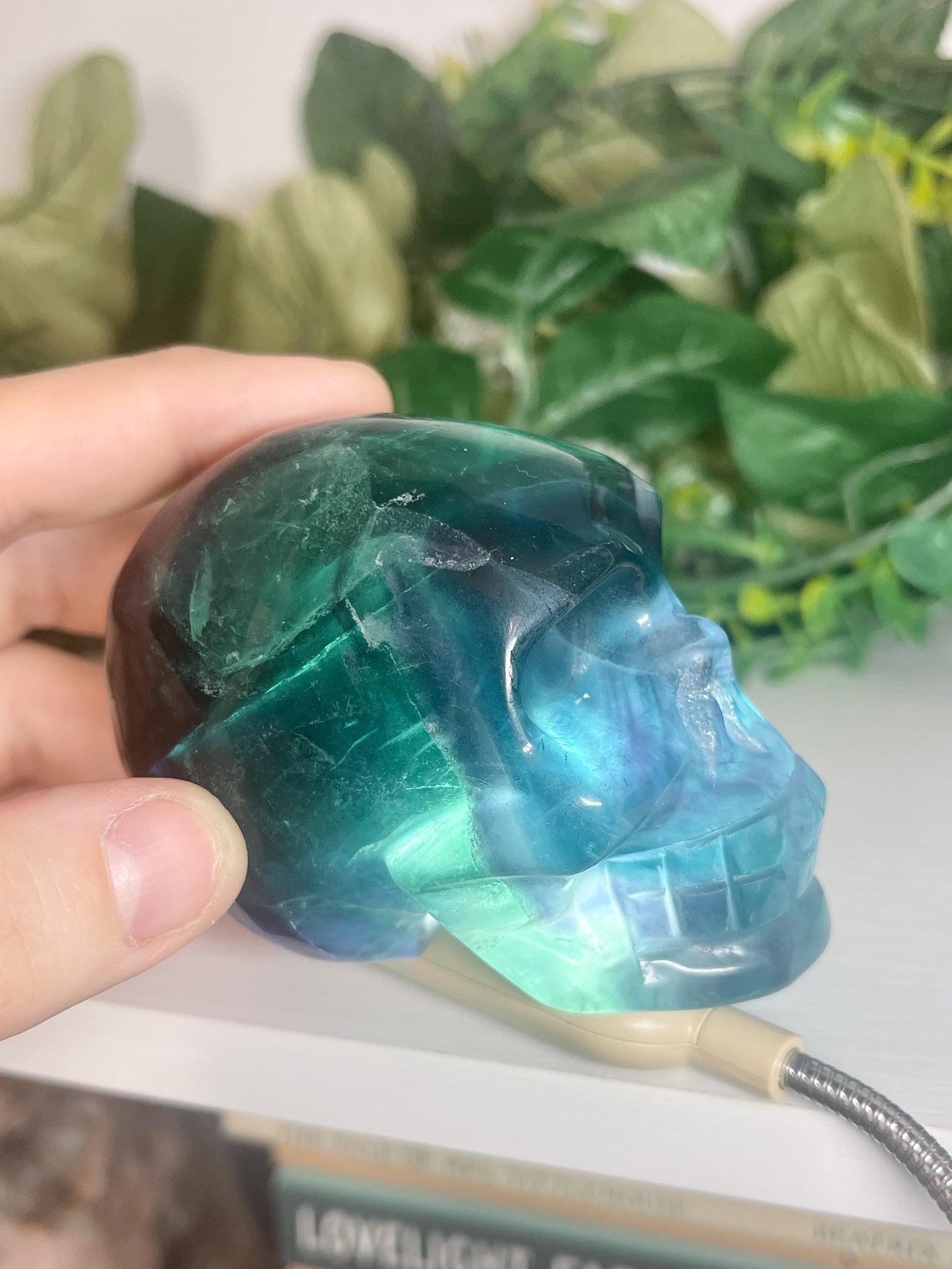 fluorite skull (3)